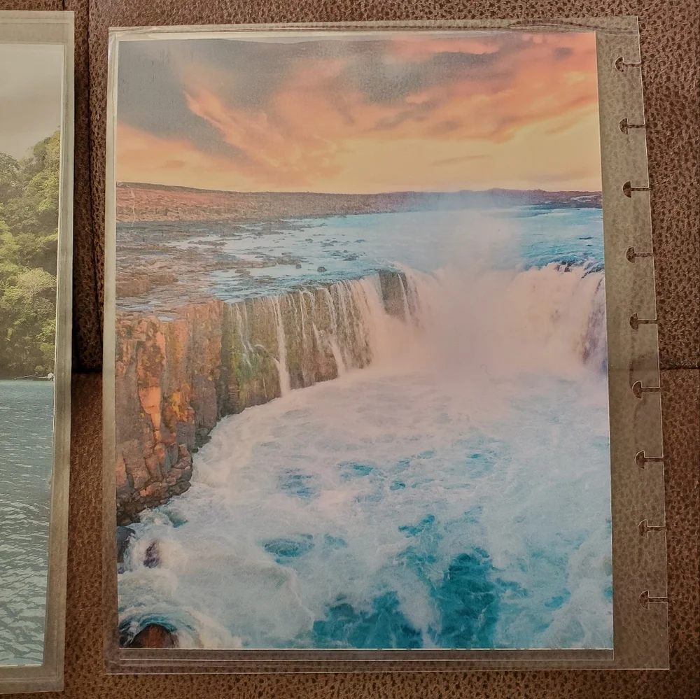 Handmade cover For A Classic Sized Disc Bound Planner Psalm 52:9 beach *defects*
